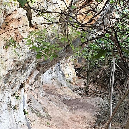 Willa Centro De Naturaleza Canada Verde "El Parque De Naturaleza Con Mas Experiencias De Andalucia" Hornachuelos Zewnętrze zdjęcie