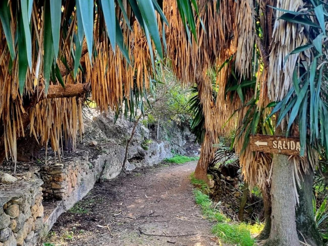 Willa Centro De Naturaleza Canada Verde "El Parque De Naturaleza Con Mas Experiencias De Andalucia" Hornachuelos Zewnętrze zdjęcie