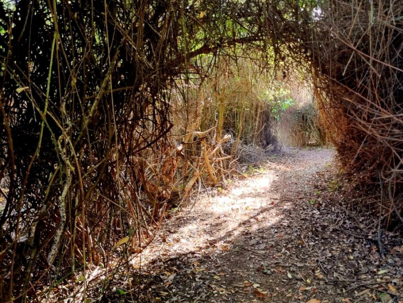 Willa Centro De Naturaleza Canada Verde "El Parque De Naturaleza Con Mas Experiencias De Andalucia" Hornachuelos Zewnętrze zdjęcie