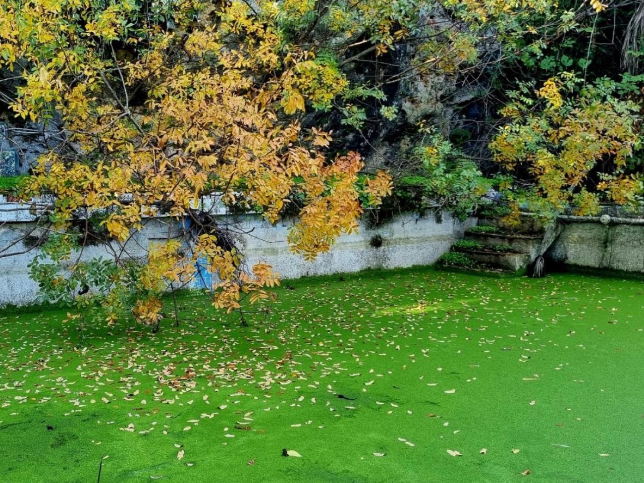 Willa Centro De Naturaleza Canada Verde "El Parque De Naturaleza Con Mas Experiencias De Andalucia" Hornachuelos Zewnętrze zdjęcie