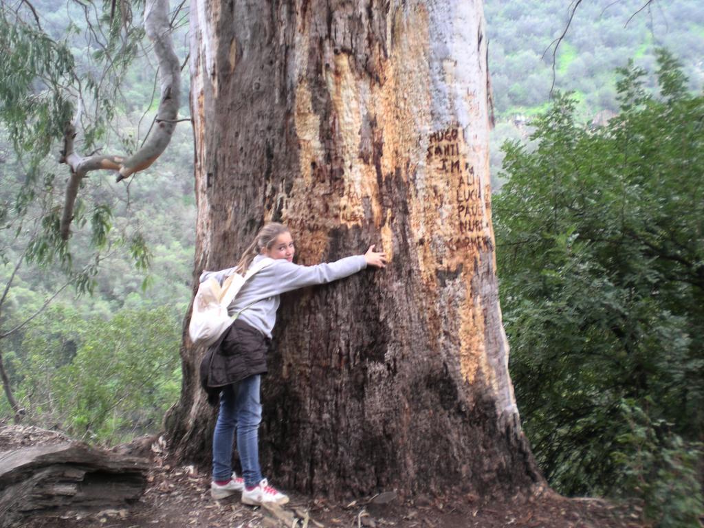 Willa Centro De Naturaleza Canada Verde "El Parque De Naturaleza Con Mas Experiencias De Andalucia" Hornachuelos Zewnętrze zdjęcie