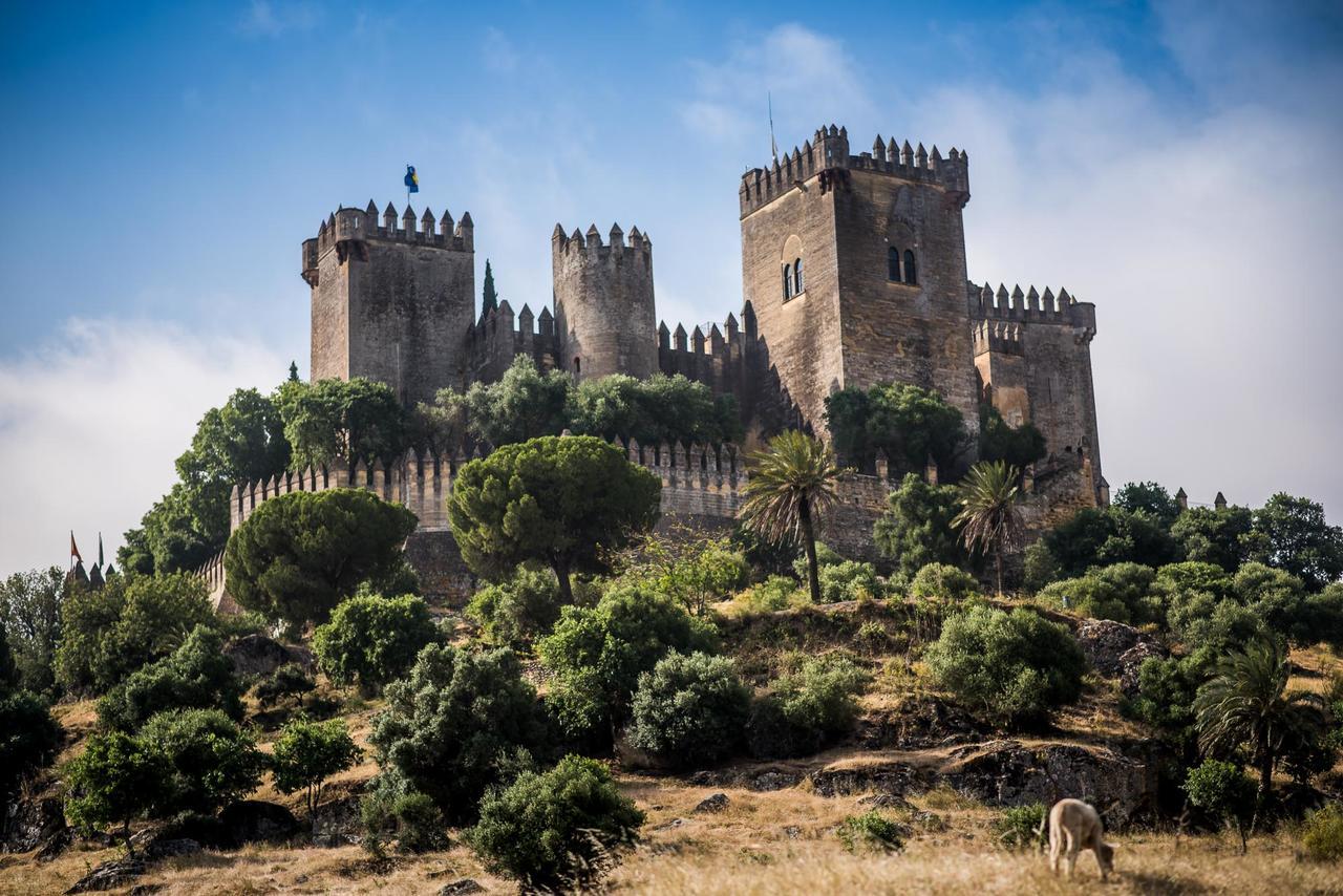 Willa Centro De Naturaleza Canada Verde "El Parque De Naturaleza Con Mas Experiencias De Andalucia" Hornachuelos Zewnętrze zdjęcie