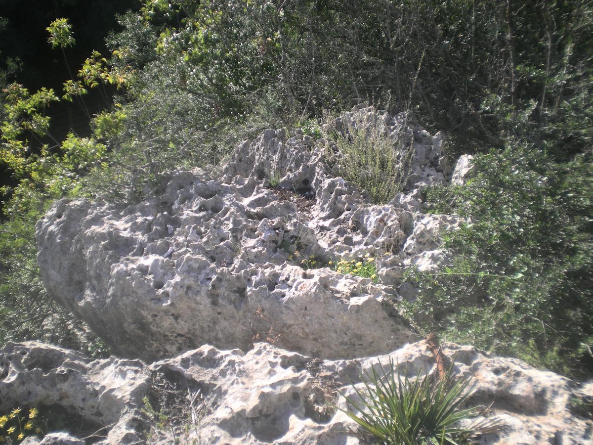 Willa Centro De Naturaleza Canada Verde "El Parque De Naturaleza Con Mas Experiencias De Andalucia" Hornachuelos Zewnętrze zdjęcie