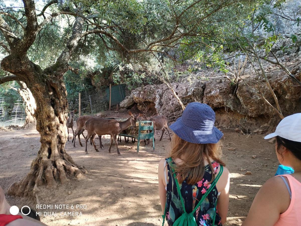 Willa Centro De Naturaleza Canada Verde "El Parque De Naturaleza Con Mas Experiencias De Andalucia" Hornachuelos Zewnętrze zdjęcie